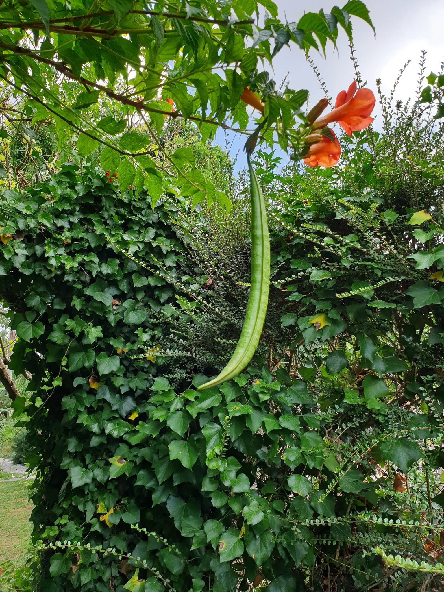 Photo n° 30 de l'avis de Amelie.H fait le 21/11/2019 à 17:49
