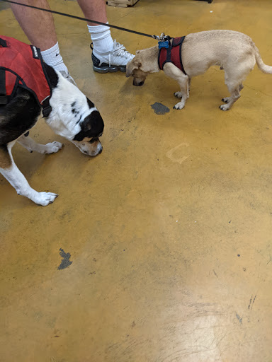 Pet Supply Store «Pacific Pets», reviews and photos, 528 SE Baseline St, Hillsboro, OR 97123, USA