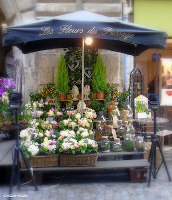 Les fleurs du passage à Rouen