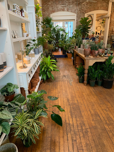 Florist «Fleur de Lis Fresh Flowers», reviews and photos, 516 Selby Ave, St Paul, MN 55102, USA