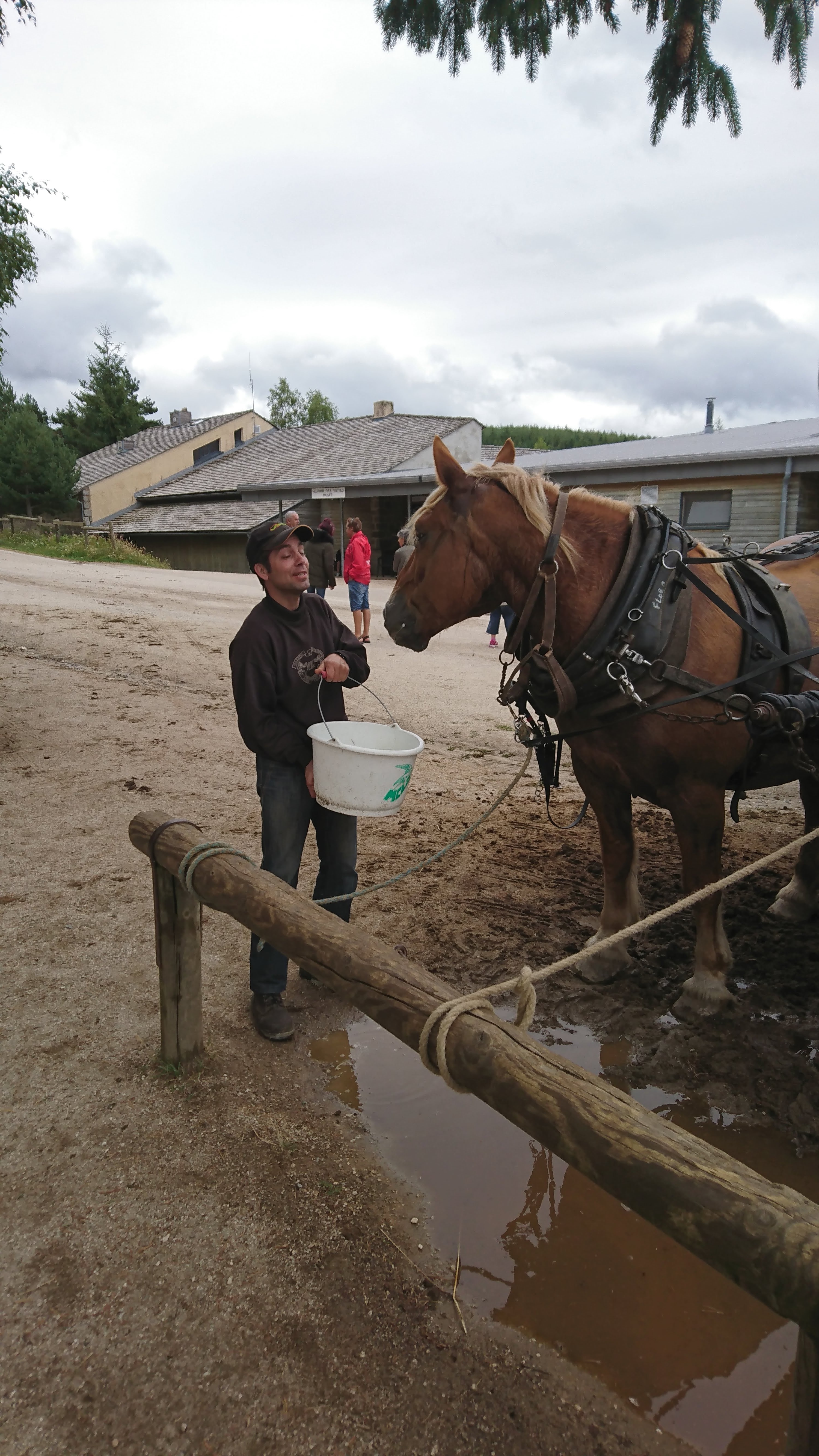 Photo n° 8 de l'avis de Bernard.l fait le 16/08/2019 à 10:01