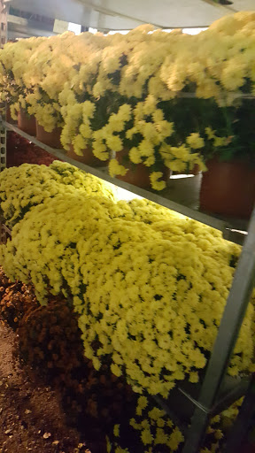 Produce Market «Hudson Farmers Market», reviews and photos, 3437 John F. Kennedy Blvd, Jersey City, NJ 07307, USA