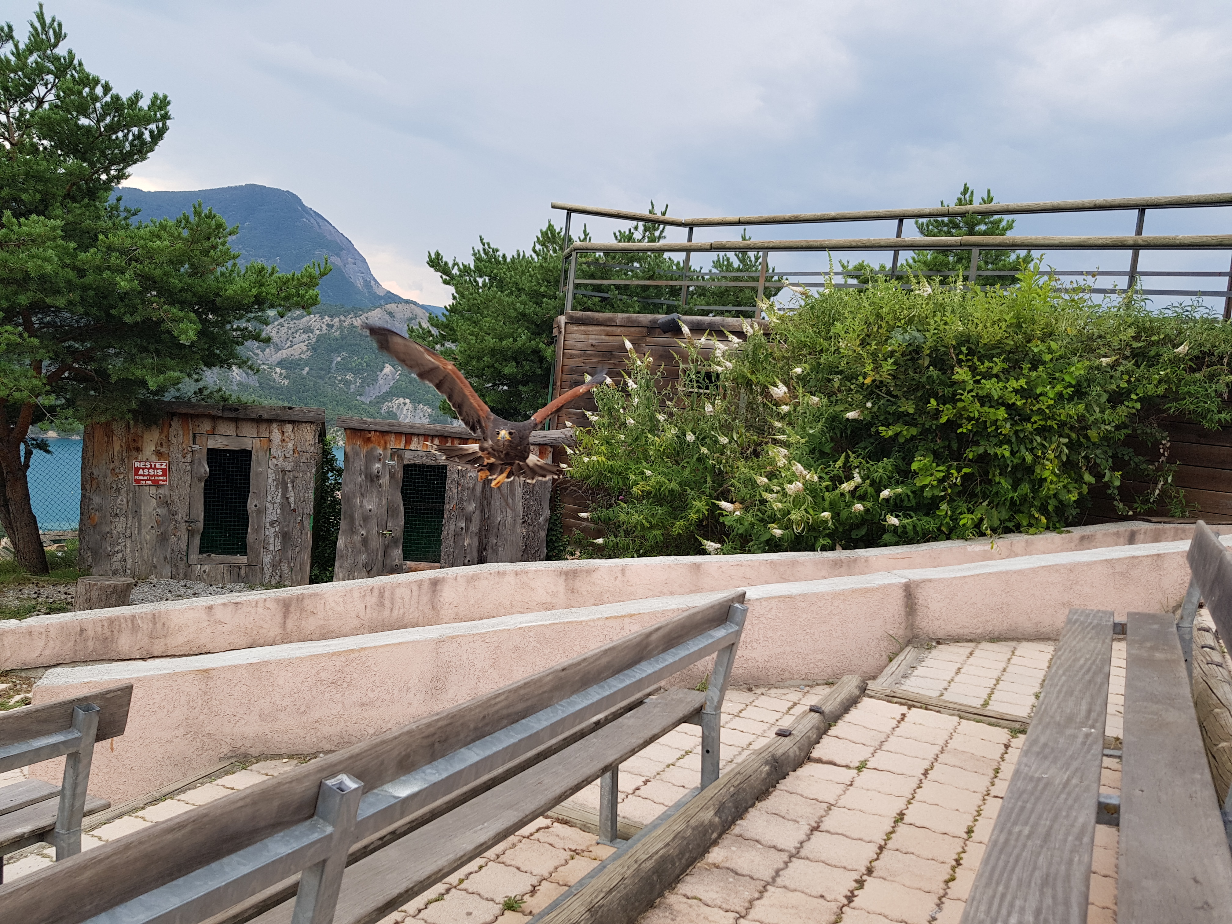 Photo n° 5 de l'avis de Altesiie.r fait le 07/09/2018 à 06:29