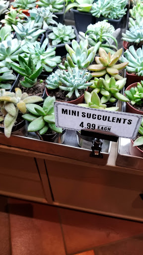 General Store «MOD GEN - A Modern General Store», reviews and photos, 211 N Broadway, Milwaukee, WI 53202, USA