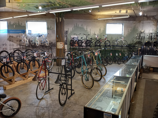 Mike's Bike Park & Bicycle Shop