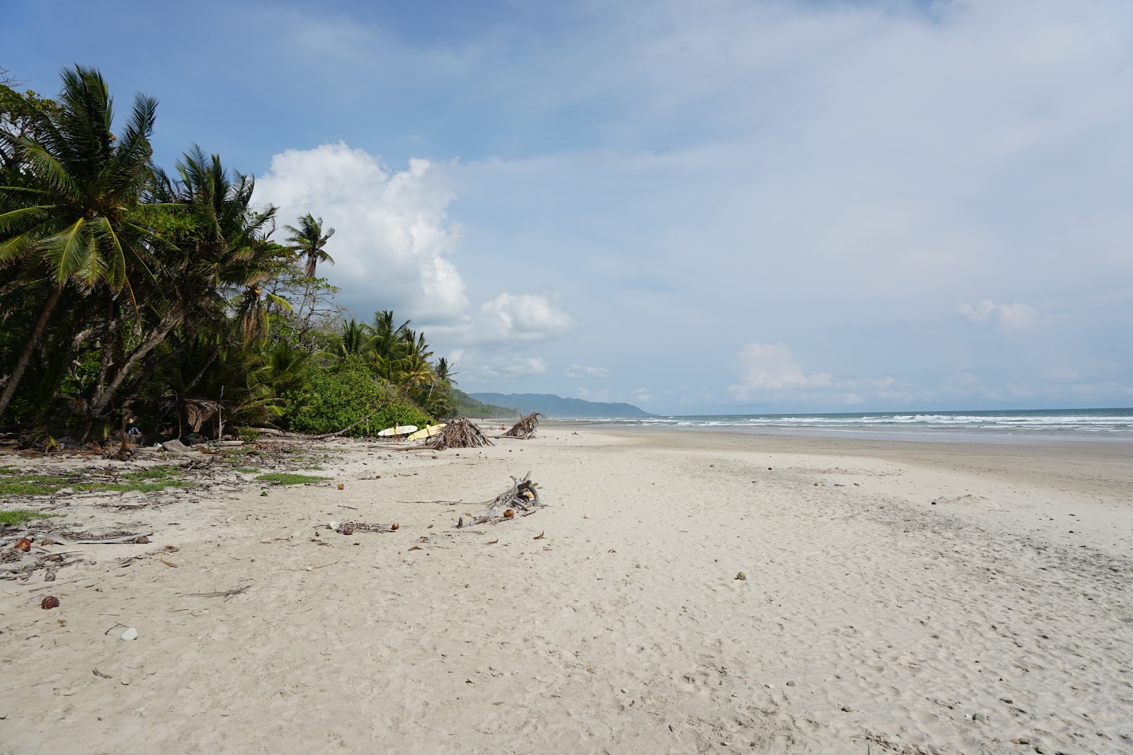 Photo de Playa Hermosa situé dans une zone naturelle