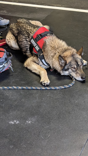 Gym «Armbrust Pro Gym», reviews and photos, 4240 Kipling St, Wheat Ridge, CO 80033, USA