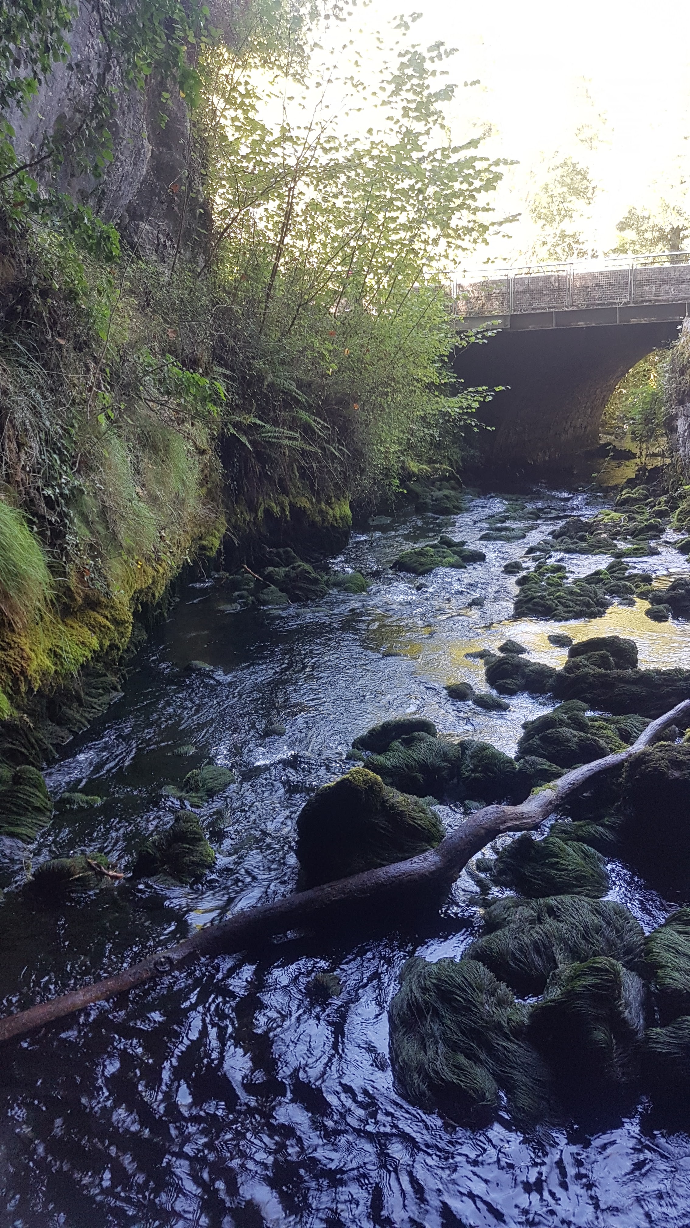 Photo n° 2 de l'avis de Cylia.a fait le 19/10/2020 à 17:55