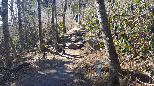 Tourist Attraction «Mile High Swinging Bridge», reviews and photos, US 221 and Blue Ridge parkway, Linville, NC 28646, USA
