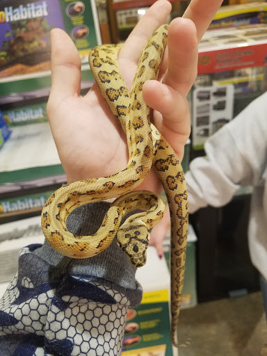 Pet Store «Miles of Exotics», reviews and photos, 8350 N Broadway, Kansas City, MO 64118, USA