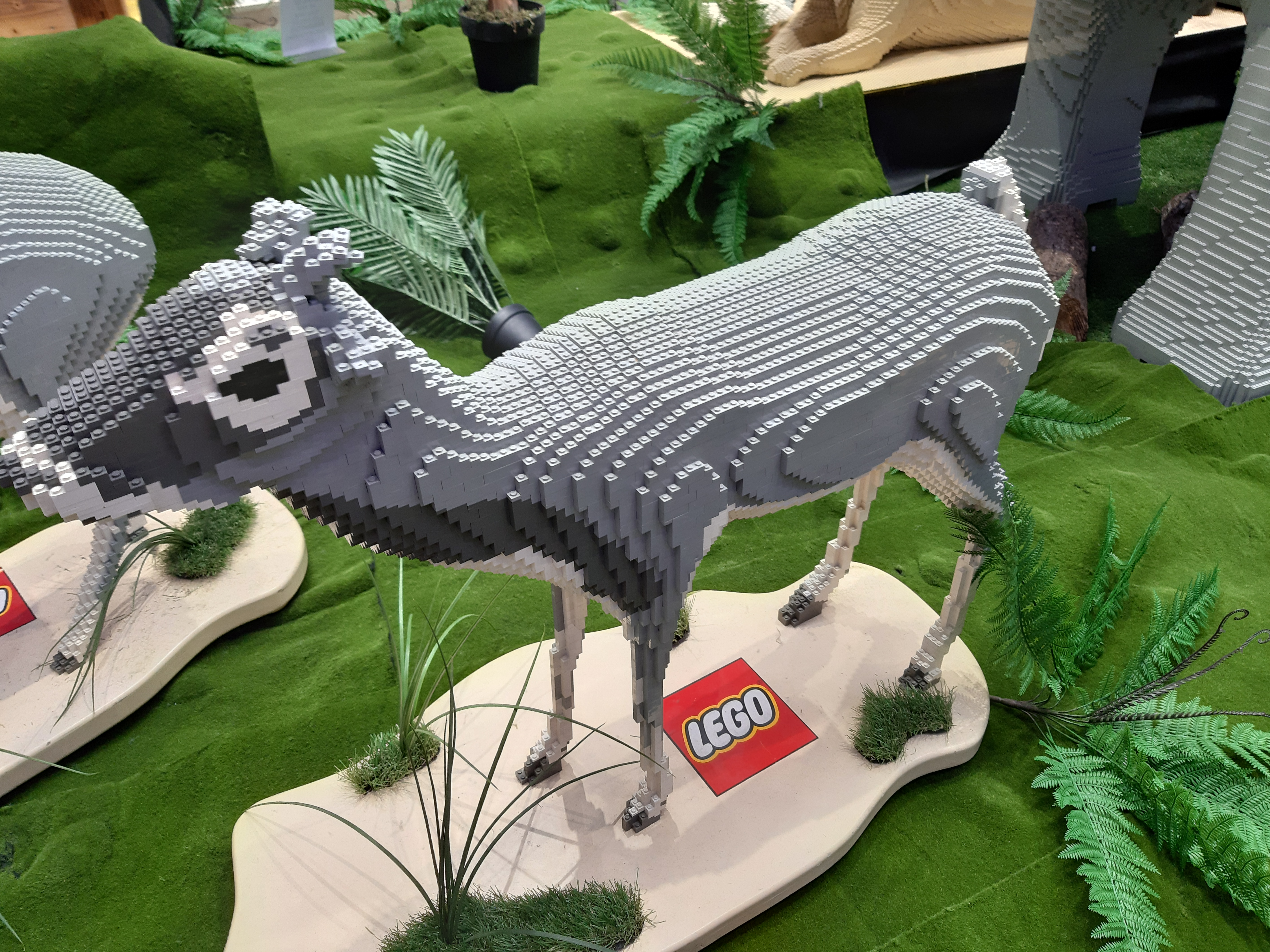 Photo n° 23 de l'avis de Paulo.e fait le 28/02/2018 à 00:03