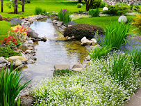 Yepez Lawn Maintenance Services - Photo 5 - Car repair in , Dallas