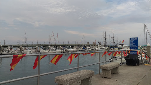 Boat Rental Service «Schooner Freedom Charters», reviews and photos, 111 Avenida Menendez, St Augustine, FL 32084, USA