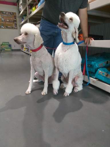 Pet Groomer «Pet Choice», reviews and photos, 4203 MacArthur Blvd, Oakland, CA 94619, USA