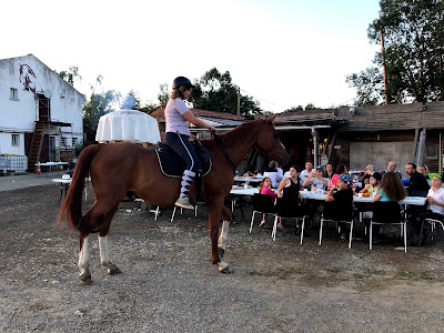 Poney-club de Fonsorbes à Fonsorbes