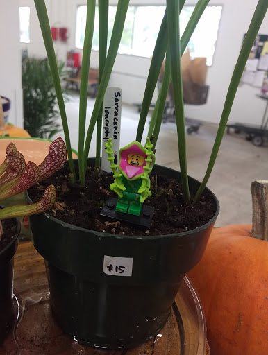 Florist «Portland Flower Market», reviews and photos, 3624 N Leverman St, Portland, OR 97217, USA