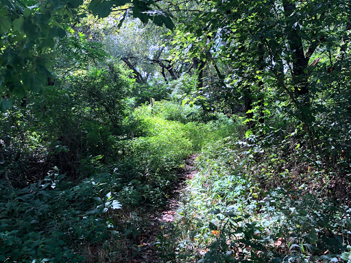 Building Materials Store «American Architectural Salvage», reviews and photos, 23 W Main St, Mt Pleasant, PA 15666, USA