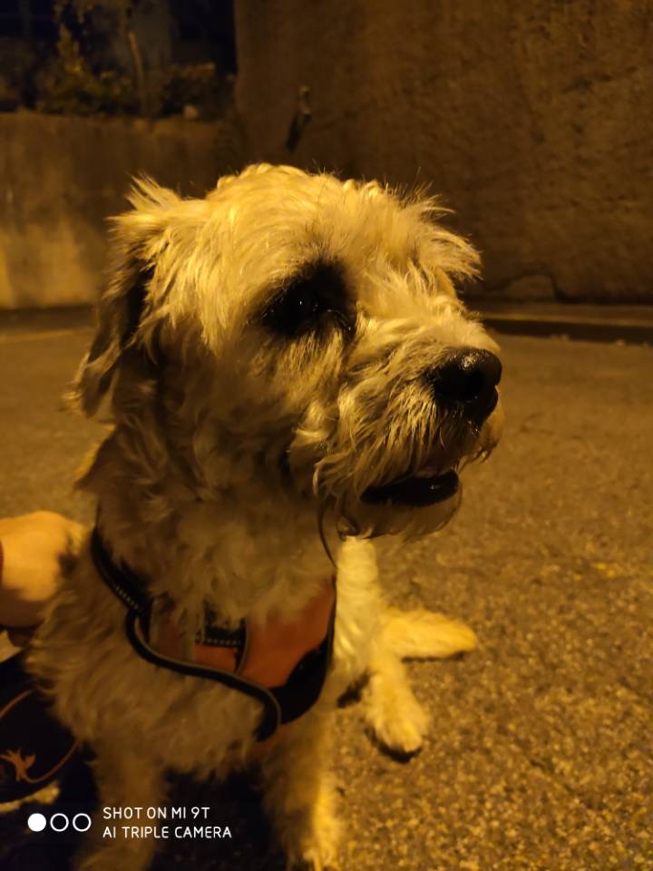 Photo n° 3 de l'avis de Maïwenn.� fait le 23/11/2023 à 23:00