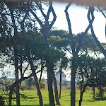 Photo n°1 de l'avis de mara.r fait le 01/12/2022 à 16:27 sur le  PINEWOOD HOTEL ROME à Rome