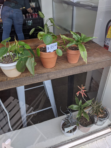 Coffee Shop «Zetêo Coffee», reviews and photos, 911 W Oak St, Conway, AR 72032, USA