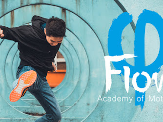 Flow - Academy Of Motion | Albany