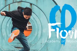 Flow - Academy Of Motion | Albany image