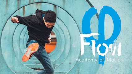 FLOW - ACADEMY OF MOTION | ALBANY