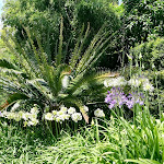 Photo n°22 de l'avis de Paola.l fait le 22/06/2020 à 10:45 sur le  Villa della Pergola à Alassio