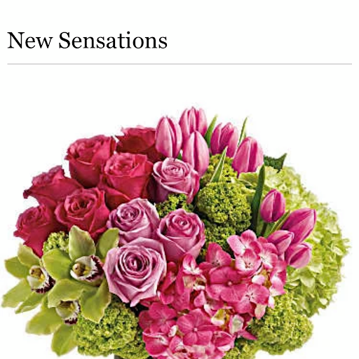 Florist «All Occasion Florist», reviews and photos, 617 Willow Ave, Hoboken, NJ 07030, USA