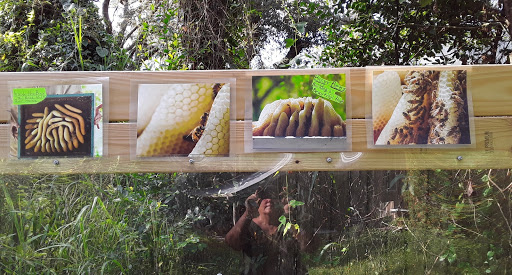 Farm «Sweetwater Organic Community Farm», reviews and photos, 6942 W Comanche Ave, Tampa, FL 33634, USA