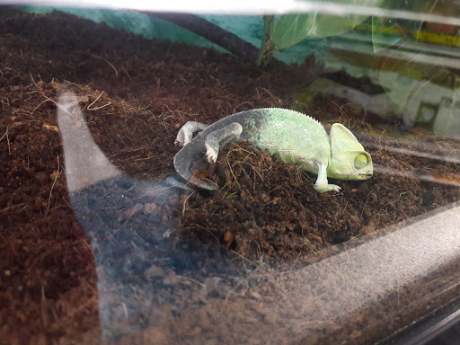 Pet Supply Store «Petco Animal Supplies», reviews and photos, 8111 W Broward Blvd, Plantation, FL 33324, USA