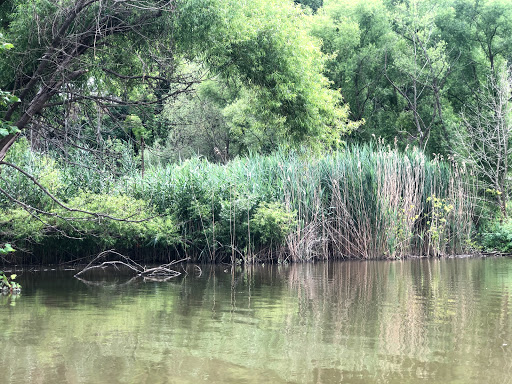 Canoe & Kayak Store «West River Paddle Sports», reviews and photos, 655 W River Rd, Vermilion, OH 44089, USA