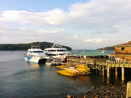 Tourist Information Center «Coastal Kayaking Tours Inc», reviews and photos, 48 Cottage St, Bar Harbor, ME 04609, USA