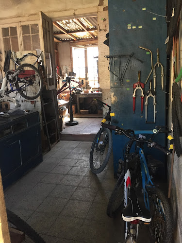 Opinii despre Cycle Star în Copiapó - Tienda de bicicletas