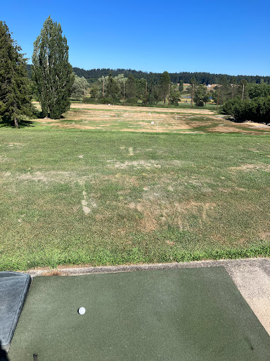 Golf Course «Useless Bay Golf & Country Club», reviews and photos, 5725 Country Club Dr, Langley, WA 98260, USA