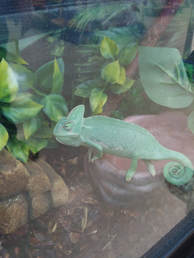 Pet Supply Store «PetSmart», reviews and photos, 3585 N Shiloh Dr, Fayetteville, AR 72703, USA