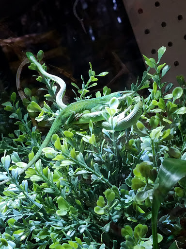 Garden Center «Liberty Agway Home & Garden Center», reviews and photos, 11 Bon Jovi Ln, Liberty, NY 12754, USA