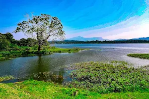 Bathalagoda lake image