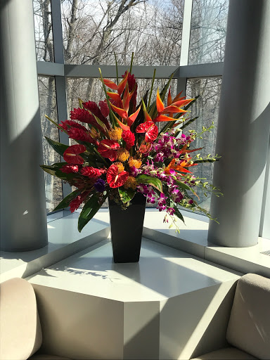 Florist «Plants and Things Floral Design», reviews and photos, 403 Lexington Ave, Mt Kisco, NY 10549, USA