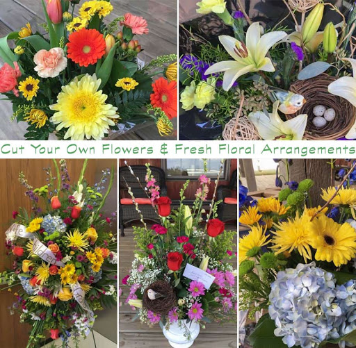 Florist «Pinewood and Posies», reviews and photos, 4547 White Oak Rd, Paradise, PA 17562, USA