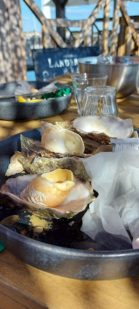 Huître du Restaurant de fruits de mer Le Tamariou - Dégustation - Vue Panoramique d’exception à Andernos-les-Bains - n°11