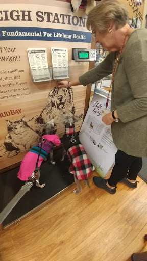 Pet Supply Store «Mud Bay», reviews and photos, 2611 California Ave SW, Seattle, WA 98116, USA