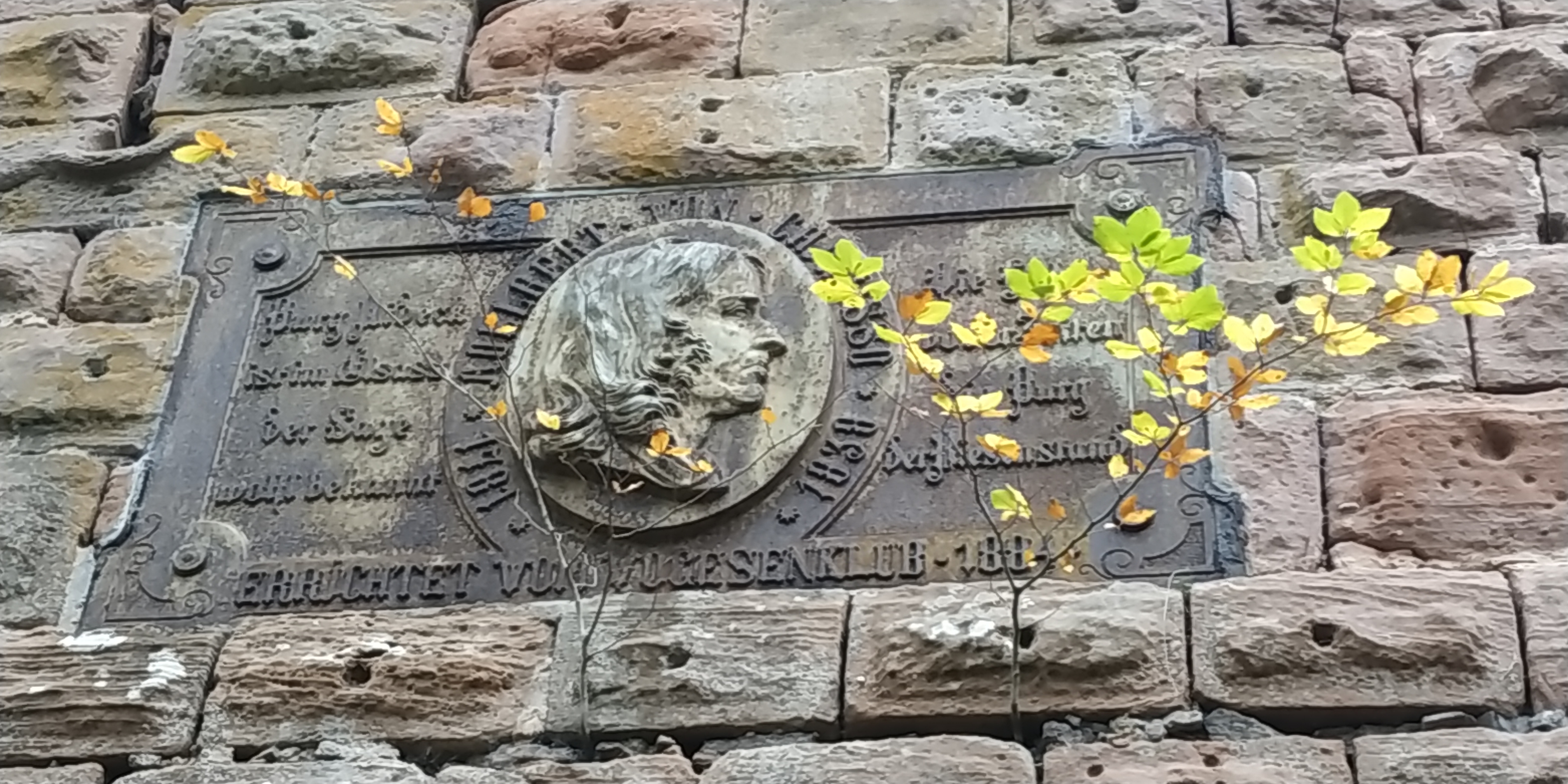 Photo n° 28 de l'avis de Sorti.u fait le 18/10/2021 à 08:32