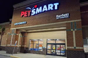 PetSmart image