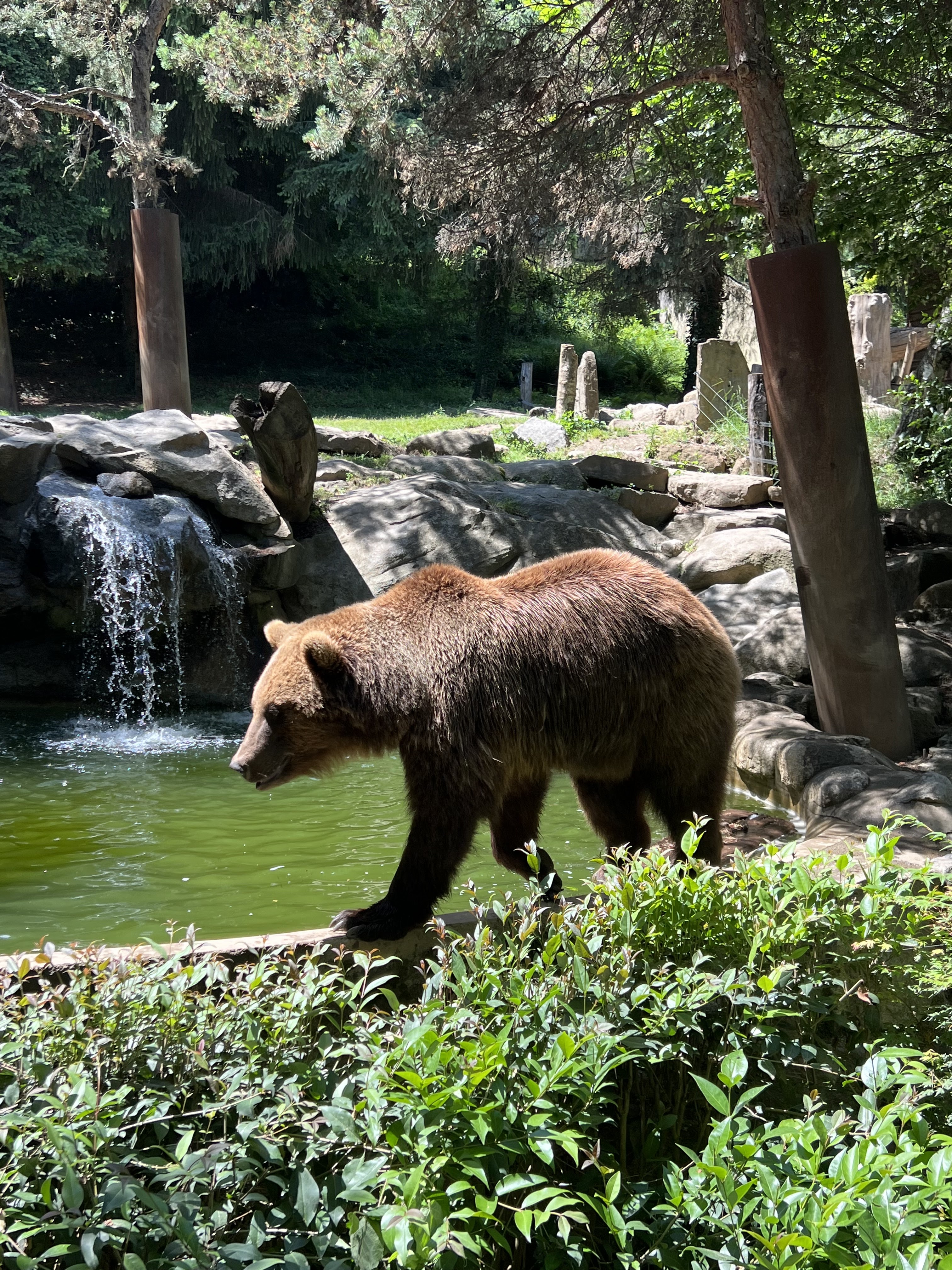 Photo n° 8 de l'avis de Fish.n fait le 11/09/2022 à 15:55