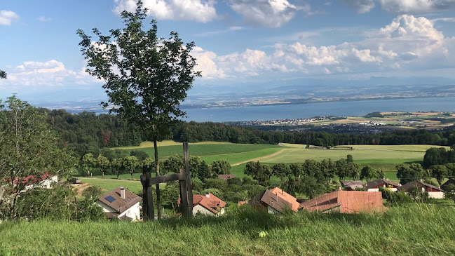 Kommentare und Rezensionen über Plage d'Auvernier