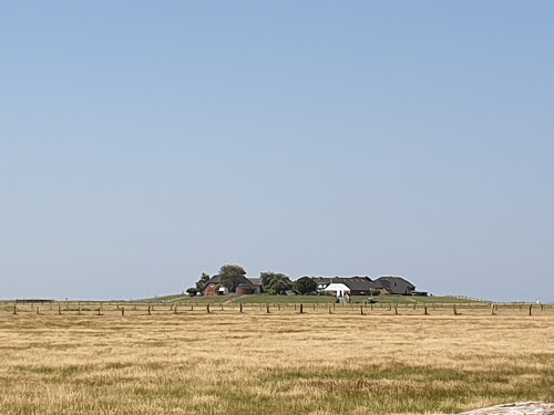Ferienwohnung Gästehaus Ute Borrs Hallig Langeneß en allemagne
