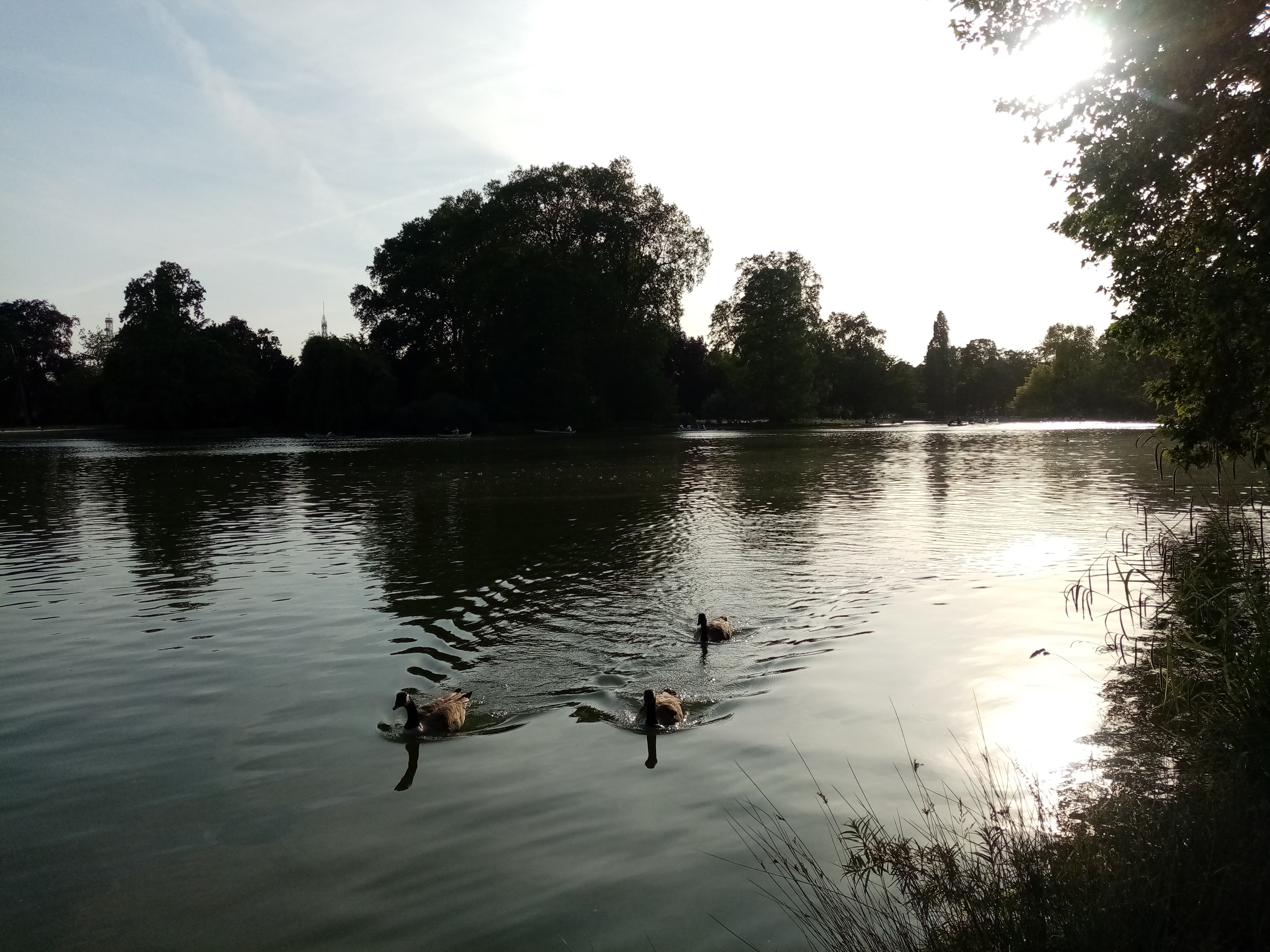 Photo n° 7 de l'avis de Sylvie.a fait le 11/10/2021 à 06:16