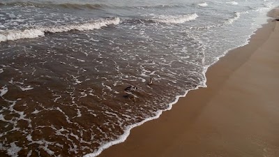 Photos of مجتمع تفریحی گهرباران دانشگاه علوم پزشکی مشهد