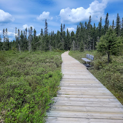 Spruce Bog Boardwalk Trail